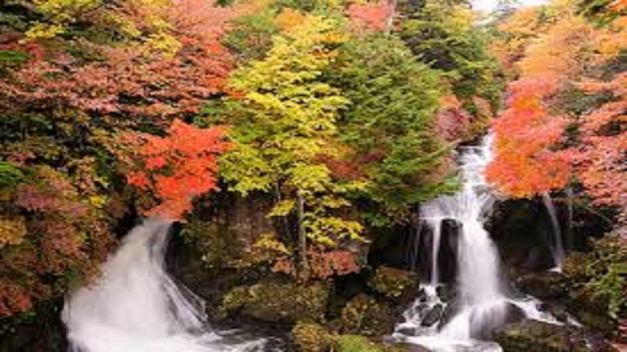 Hotel Natural Garden Nikko Exterior photo